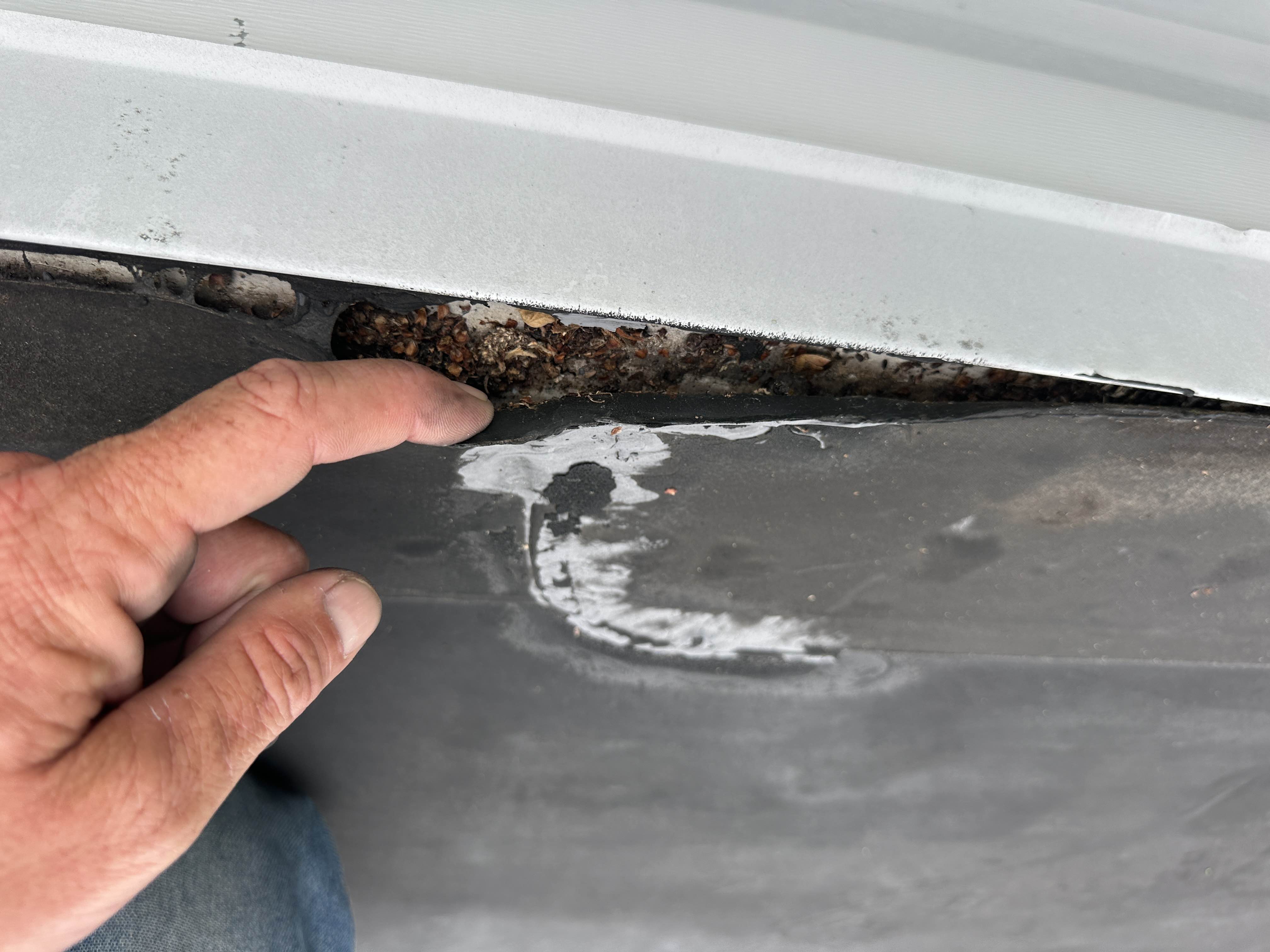 Flat roof inspection